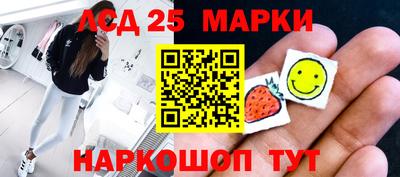 индика Можга