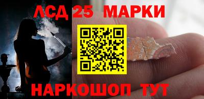 индика Можга