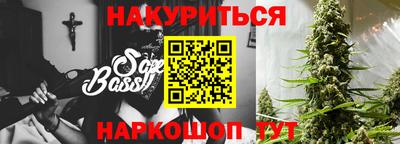 индика Можга