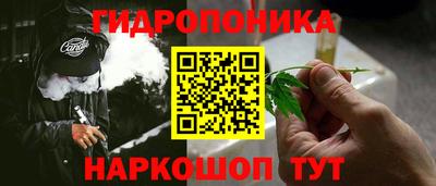 индика Можга