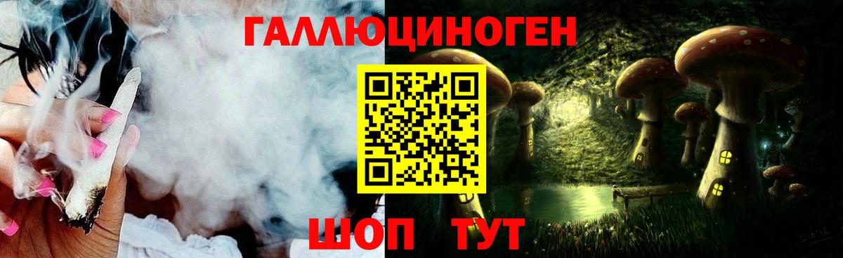 Галлюциногенные грибы Psilocybine cubensis  Псилоцибиновые грибы MAGIC MUSHROOMS  Ульяновск  Вход с VPN 